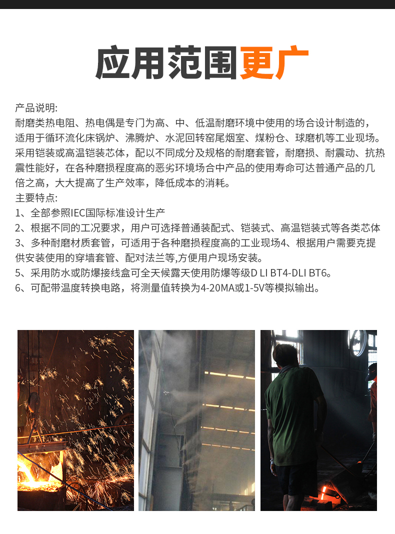 WRNM-131耐磨熱電偶15_http://m.salipt.com.cn_溫度儀表_第6張