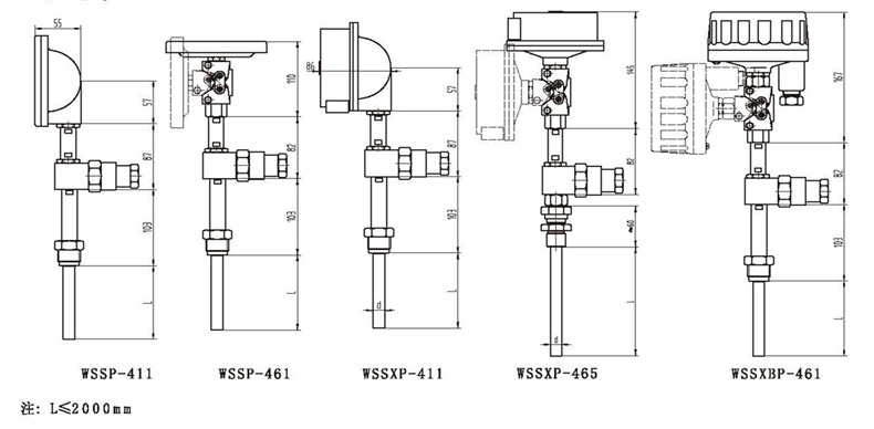 WSSX工業(yè)雙金屬溫度計(jì)(一體化型螺紋式)_雙金屬溫度計(jì)_第3張_重慶西珠儀表科技有限公司 WSSX工業(yè)雙金屬溫度計(jì)(一體化型螺紋式)_http://m.salipt.com.cn_雙金屬溫度計(jì)_第3張